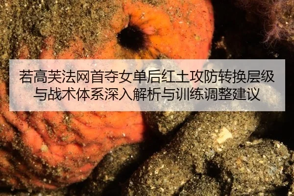 ruo-gao-fu-fa-wang-shou-duo-nv-dan-hou-hong-tu-gong-fang-zhuan-huan-ceng-ji-yu-zhan-shu-ti-xi-shen-ru-jie-xi-yu-xun-2-108.jpg