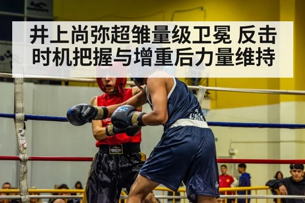 boxing match action