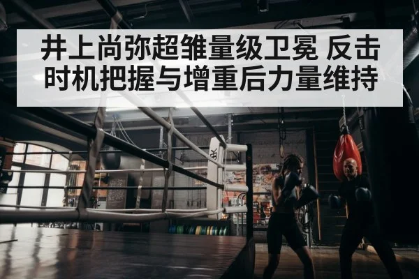 boxer training gym